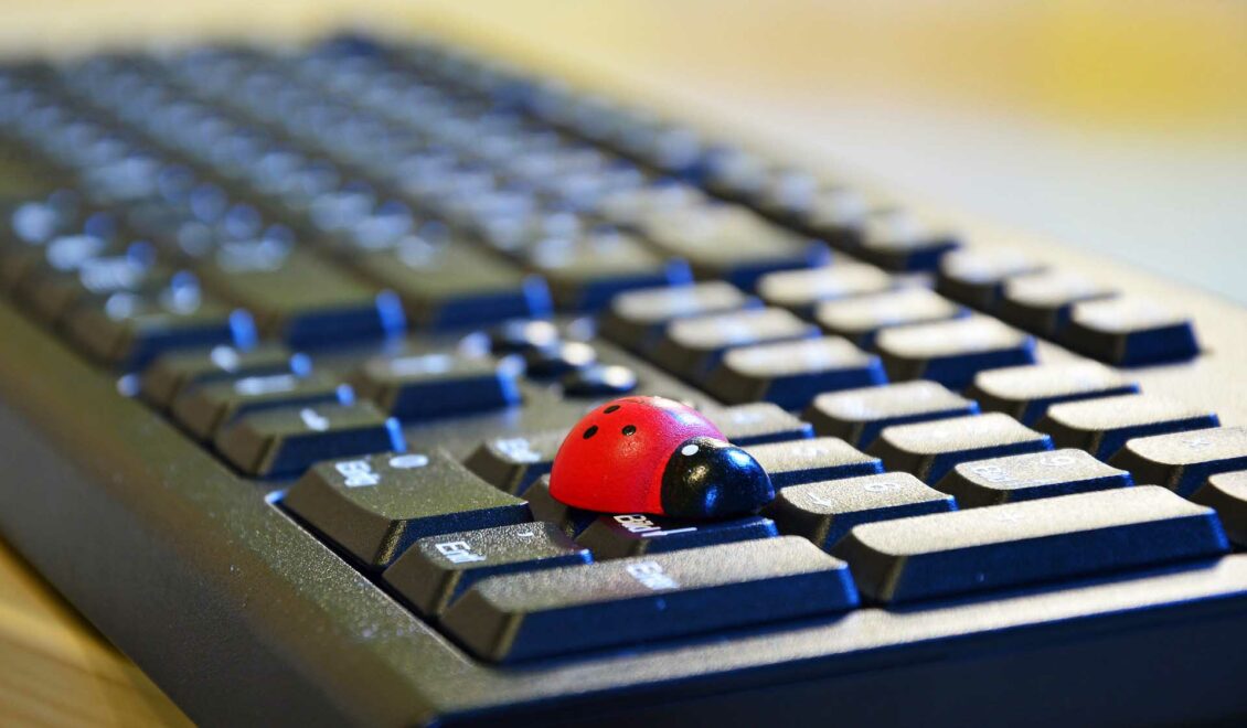 List of Gambian news and video websites, TV, radio, newspapers, etc. (for information only)