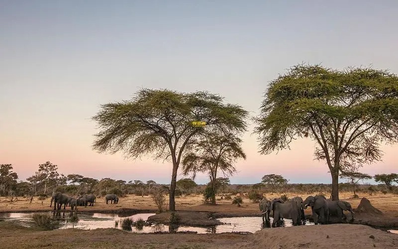 Botswana 2023 statutory holidays, traditional festivals table